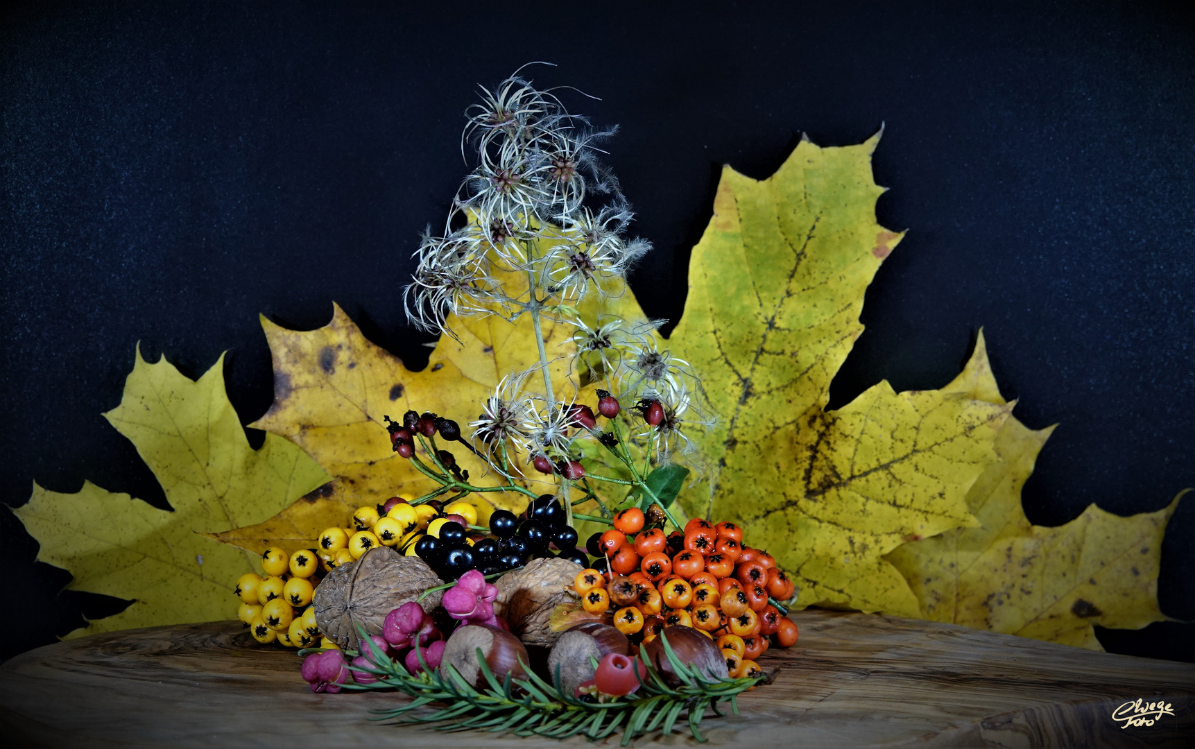 Herbstzeit ist Früchtezeit 1