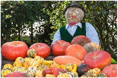 Herbstzeit ist Kürbiszeit