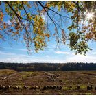 Herbstzeit ist Kürbiszeit (3)