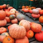 Herbstzeit ist Kürbiszeit