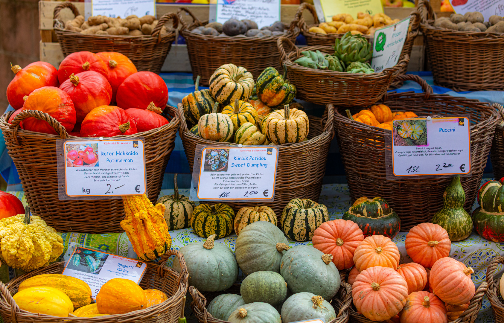 Herbstzeit ist Kürbiszeit