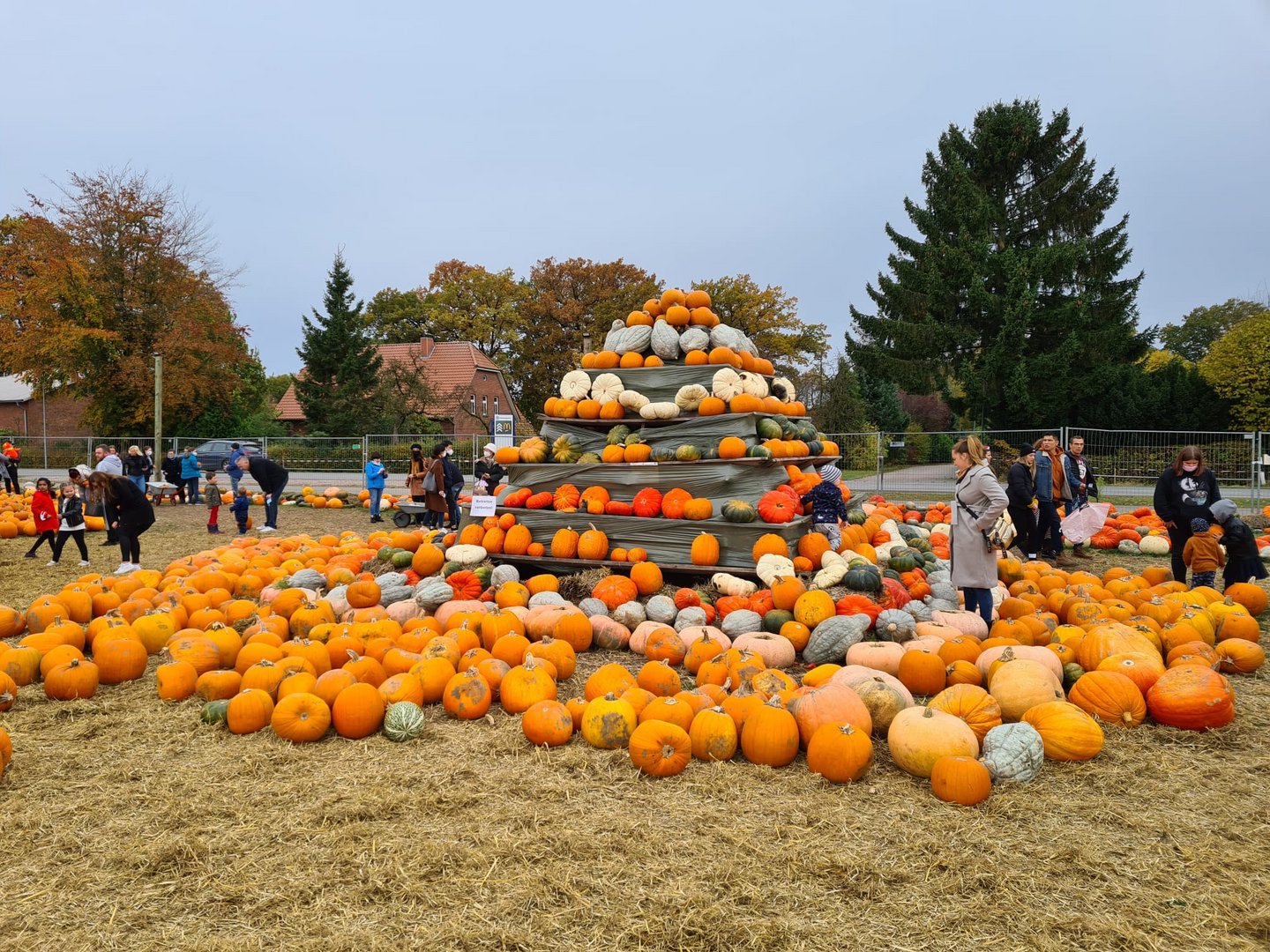 Herbstzeit ist Kürbiszeit