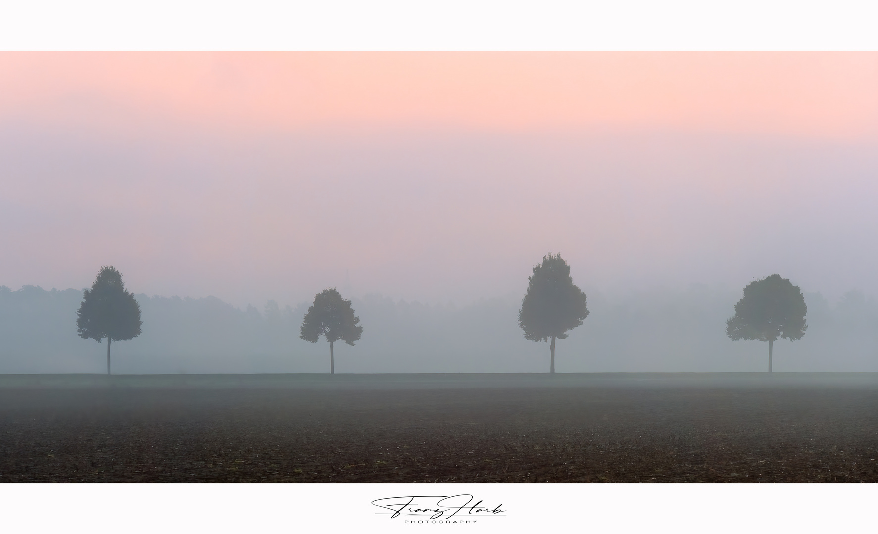 Herbstzeit ist Nebelzeit