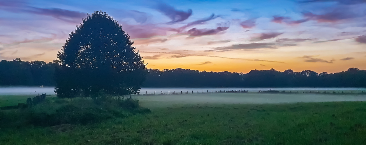 Herbstzeit ist Nebelzeit