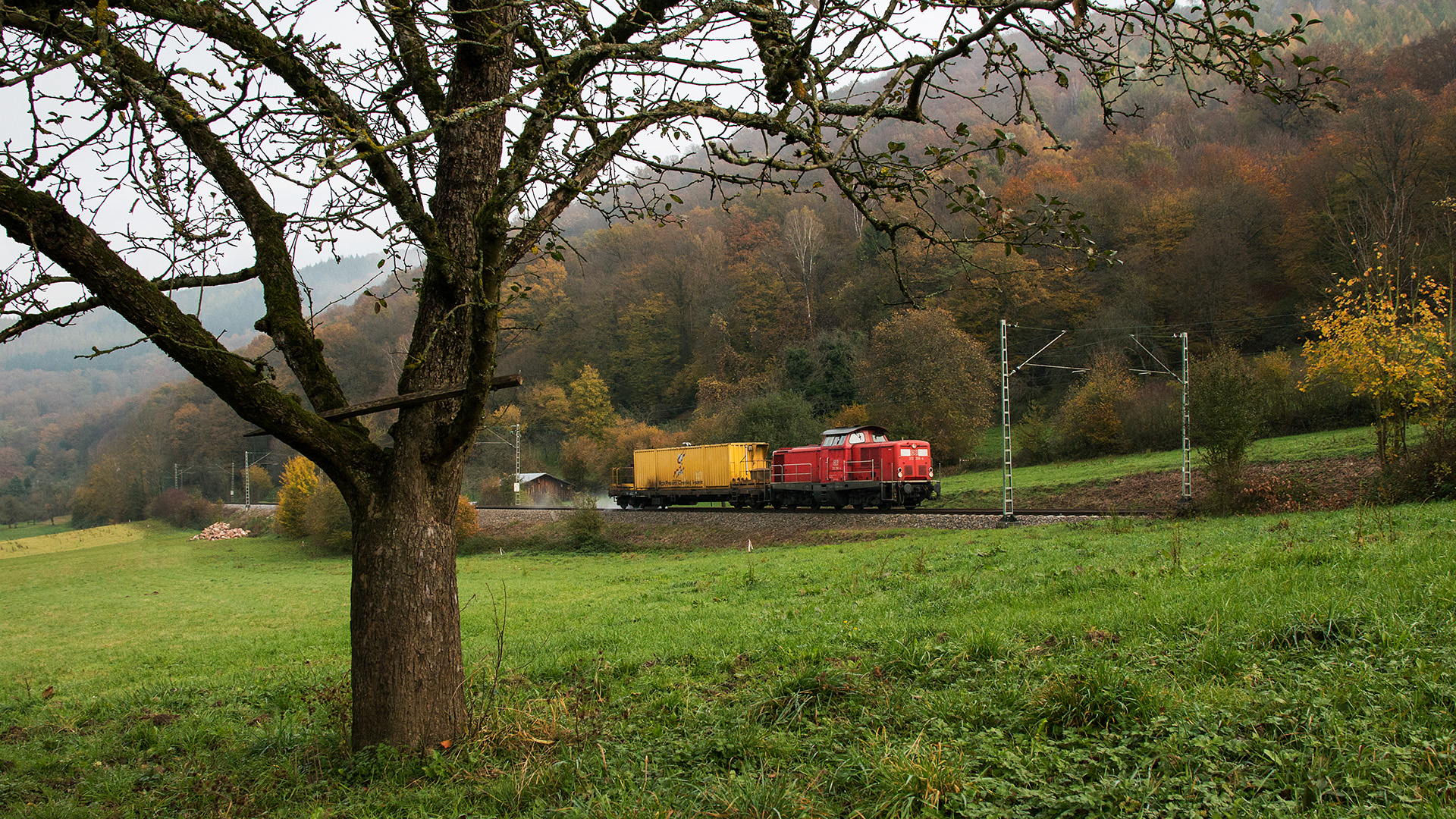 Herbstzeit ist "Putzi"-Zeit