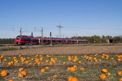 Herbstzeit-Kürbiszeit