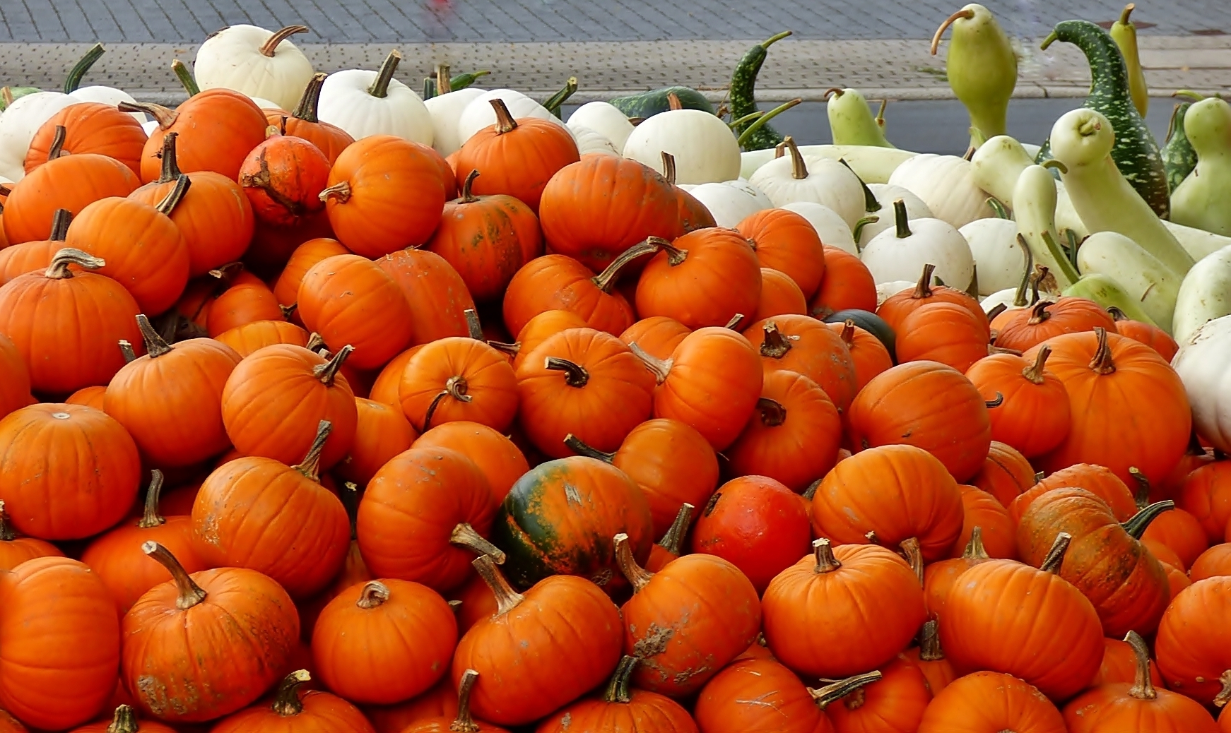 Herbstzeit - Kürbiszeit.