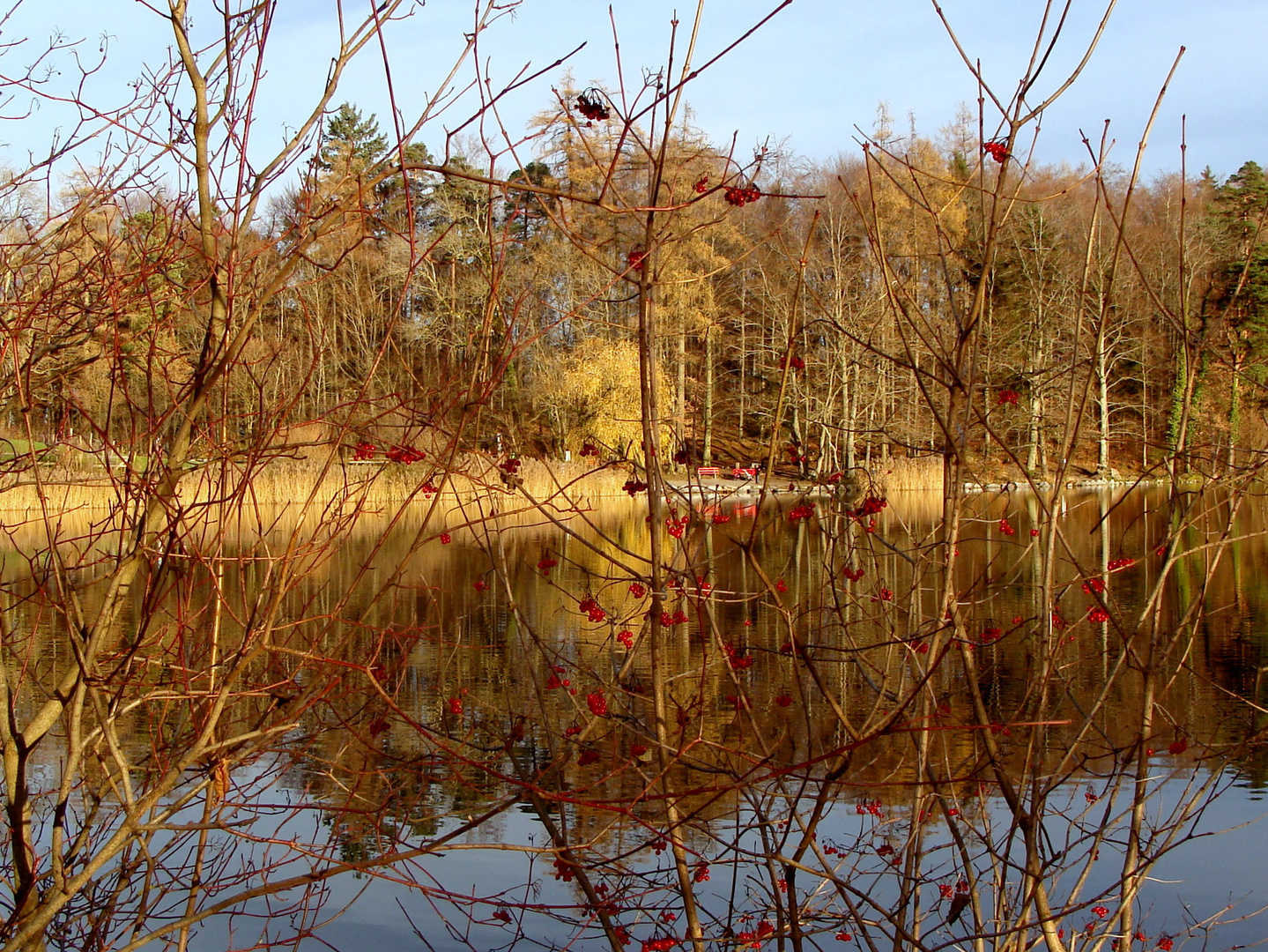 Herbstzeit / la otoñada / l'automne..04