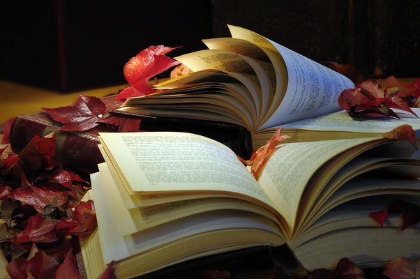 Herbstzeit-Lesezeit