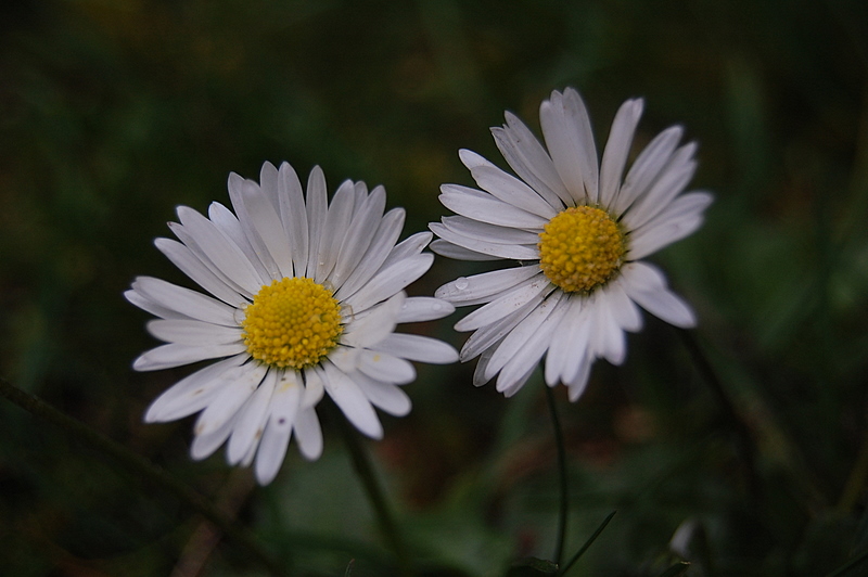 herbstzeit los