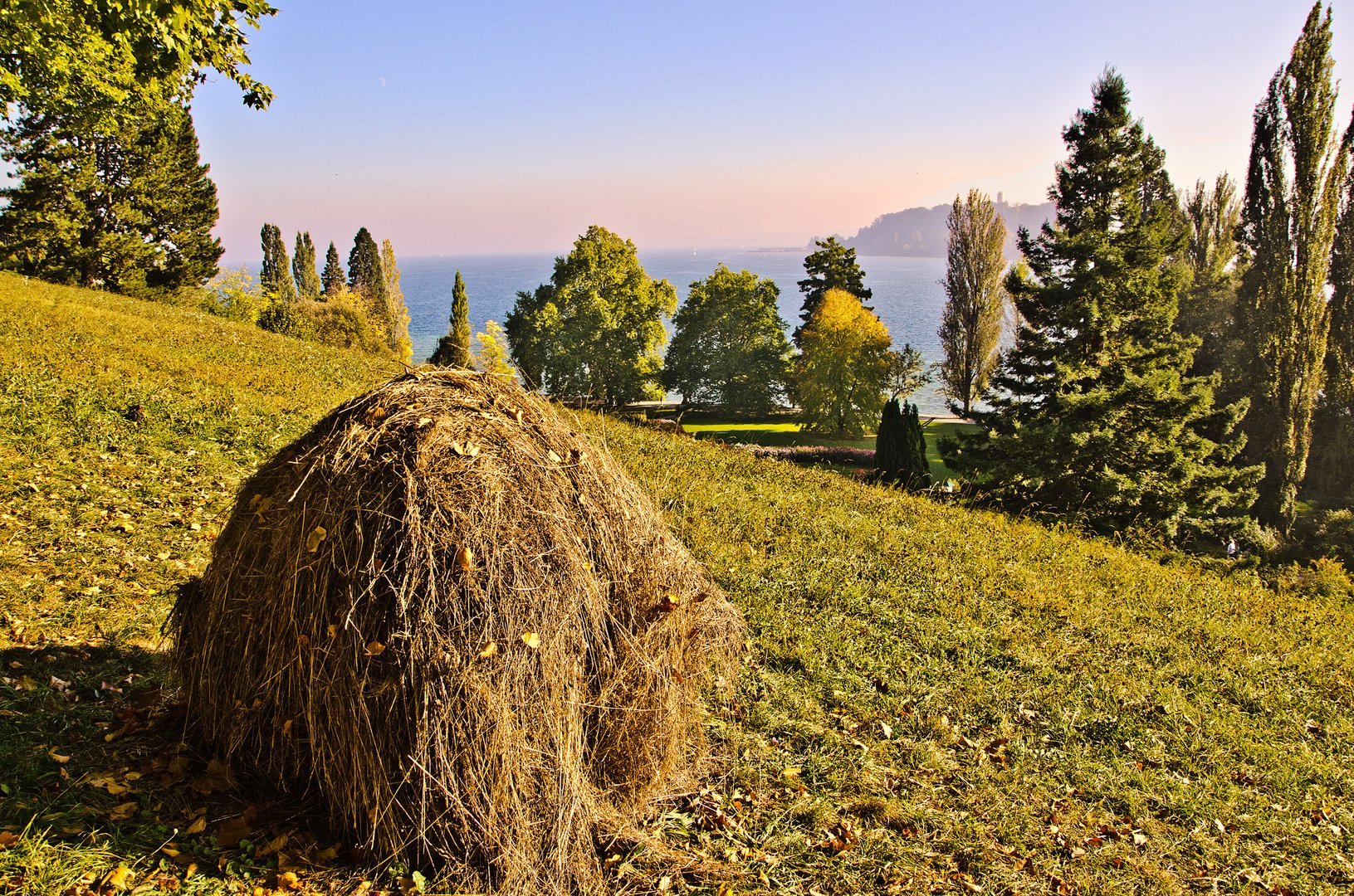 Herbstzeit , Mainau im Oktober