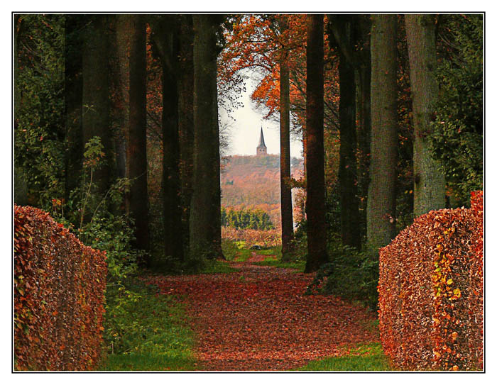 Herbstzeit; Mit Blick auf den Berg