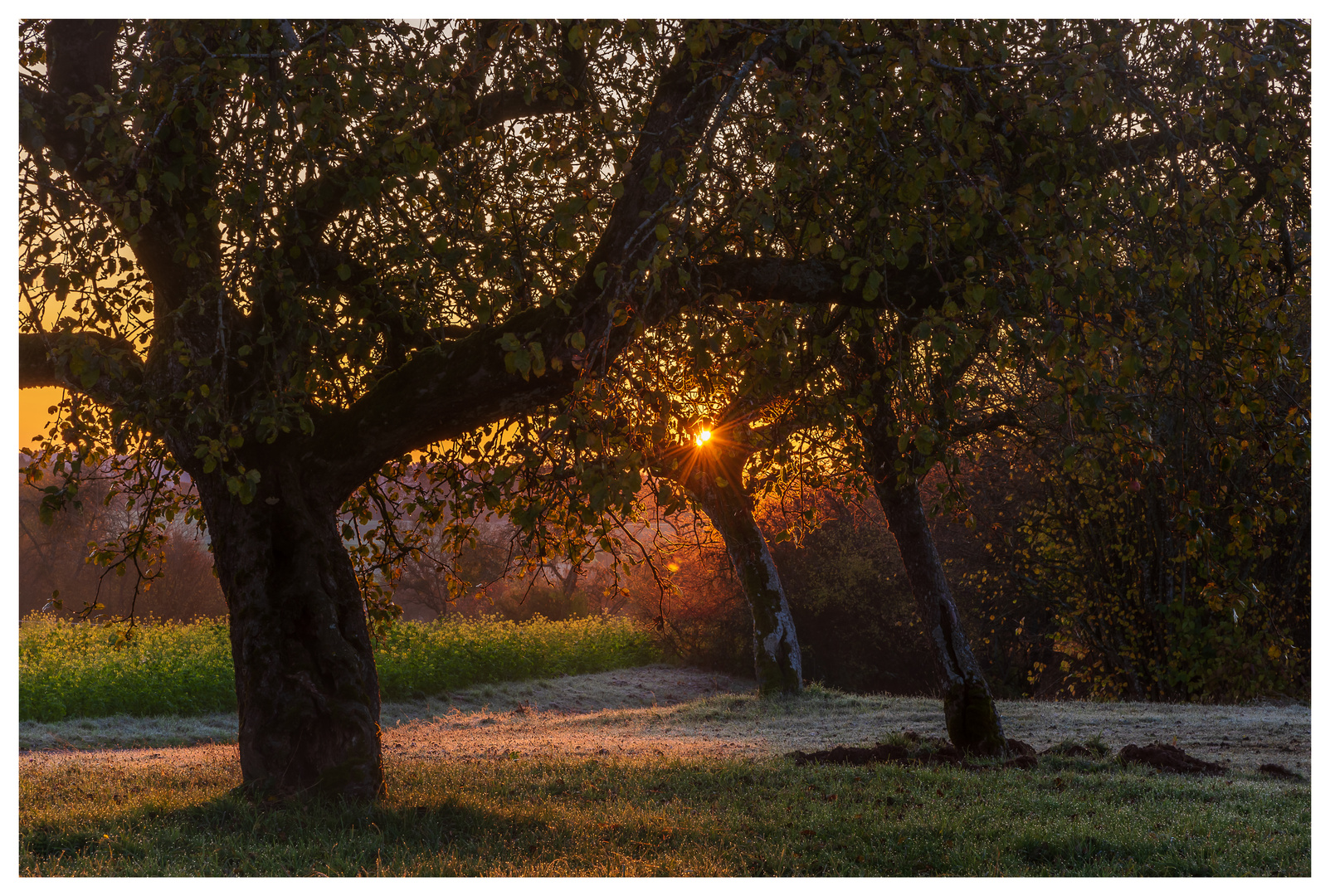 Herbstzeit & MorgenErwachen