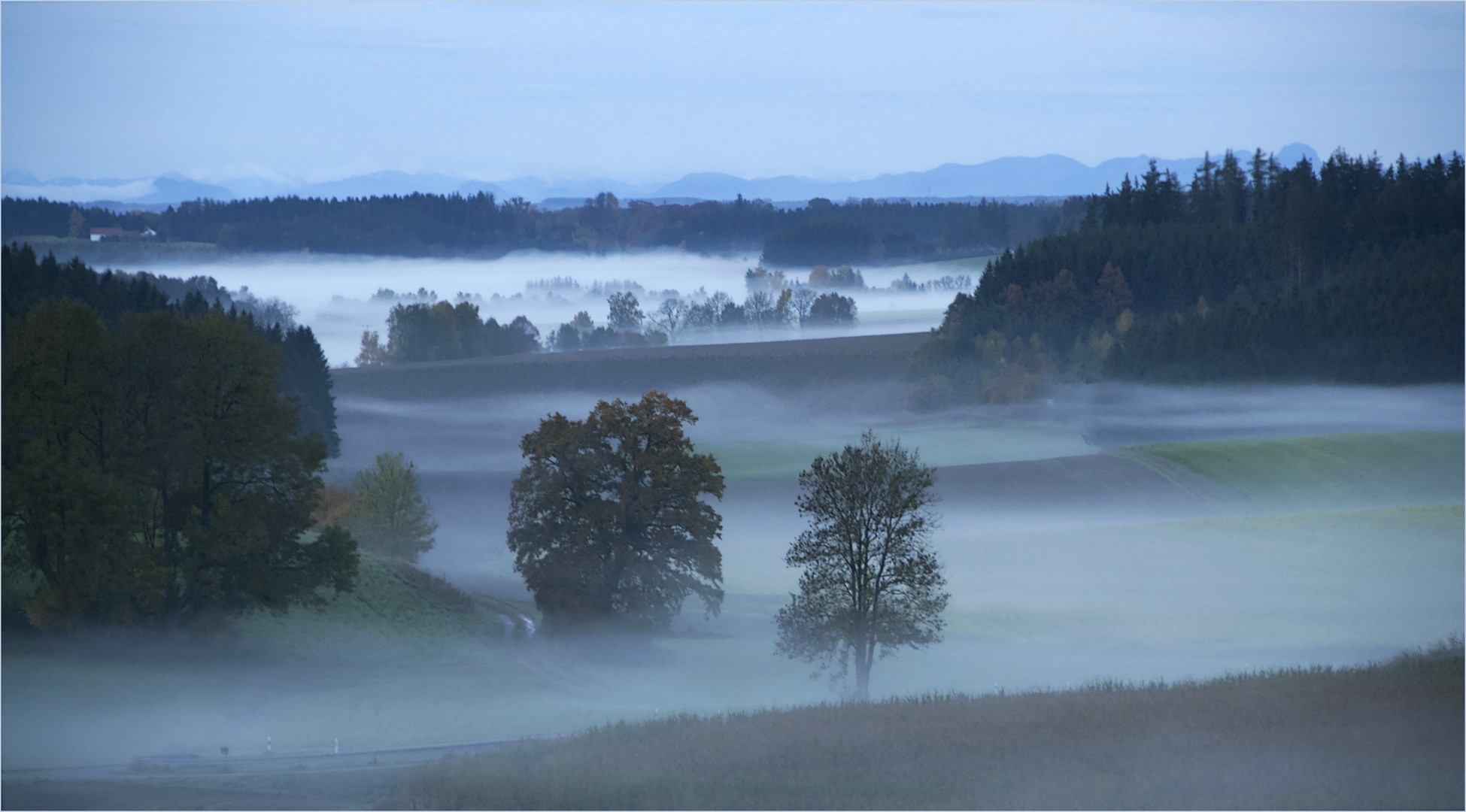 Herbstzeit - Nebelzeit