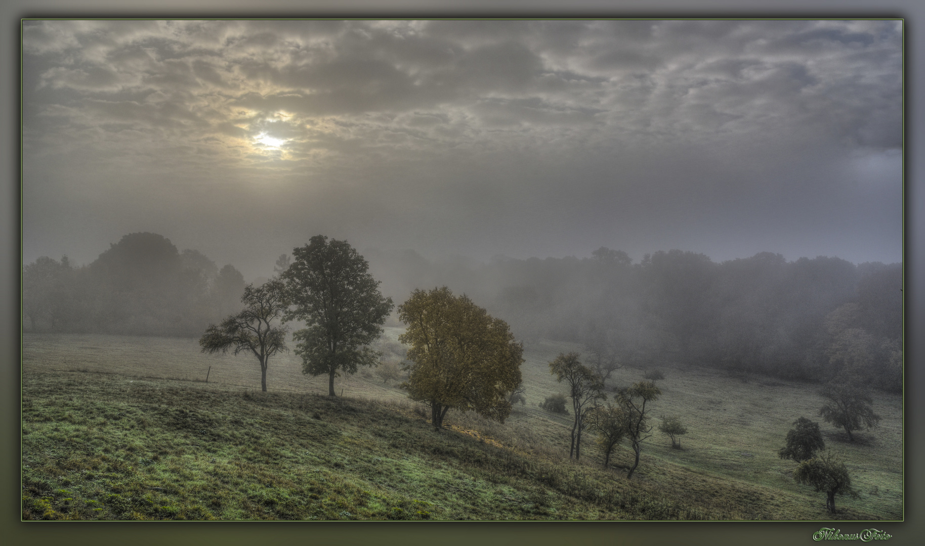 Herbstzeit Nebelzeit 