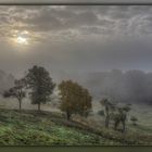 Herbstzeit Nebelzeit 