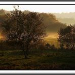 Herbstzeit- Nebelzeit