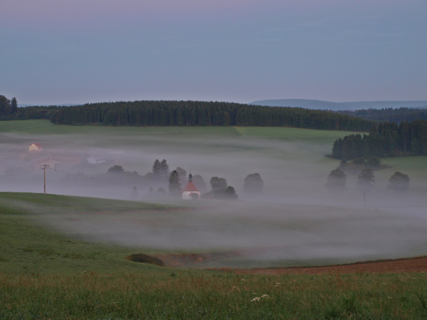 Herbstzeit - Nebelzeit...