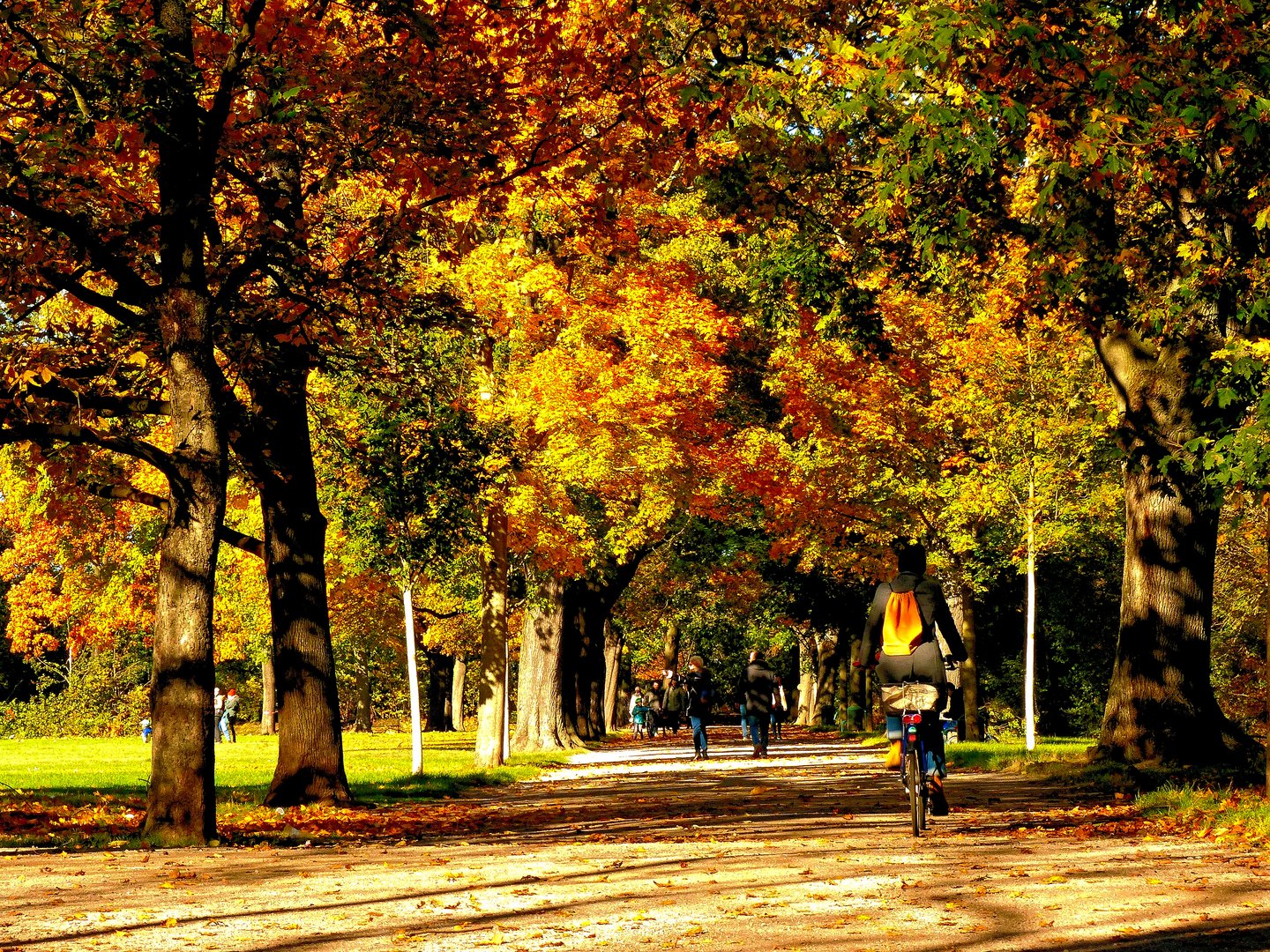 Herbstzeit - Park-Allee / Sonntag-Nachmittag beim Spaziergang