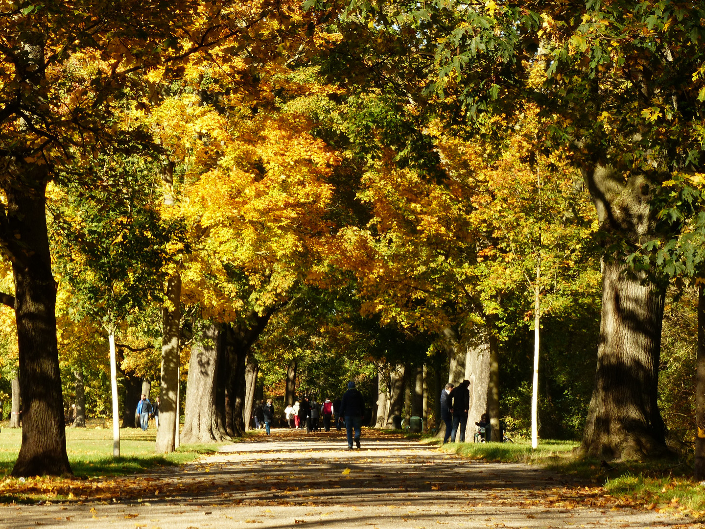 Herbstzeit - Park - Impressionen / Farbenprächtiger Spazierweg durch die Parklandschaft
