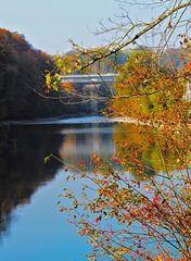 Herbstzeit schenkt uns warme Farben