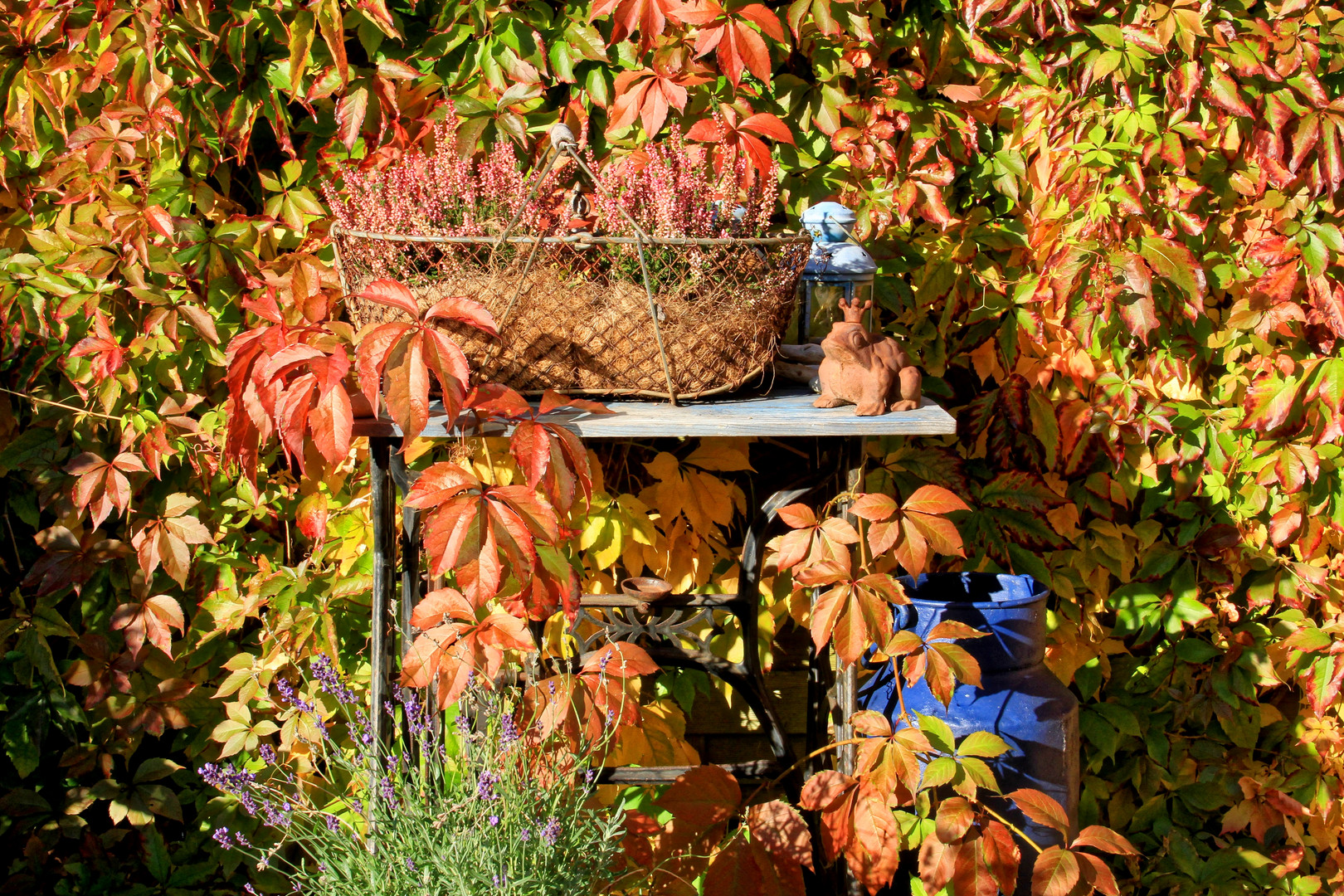 Herbstzeit Stilleben