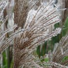 Herbstzeit - Testbild FZ18