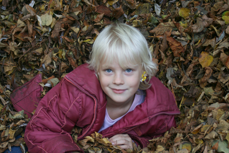 Herbstzeit -Tobezeit