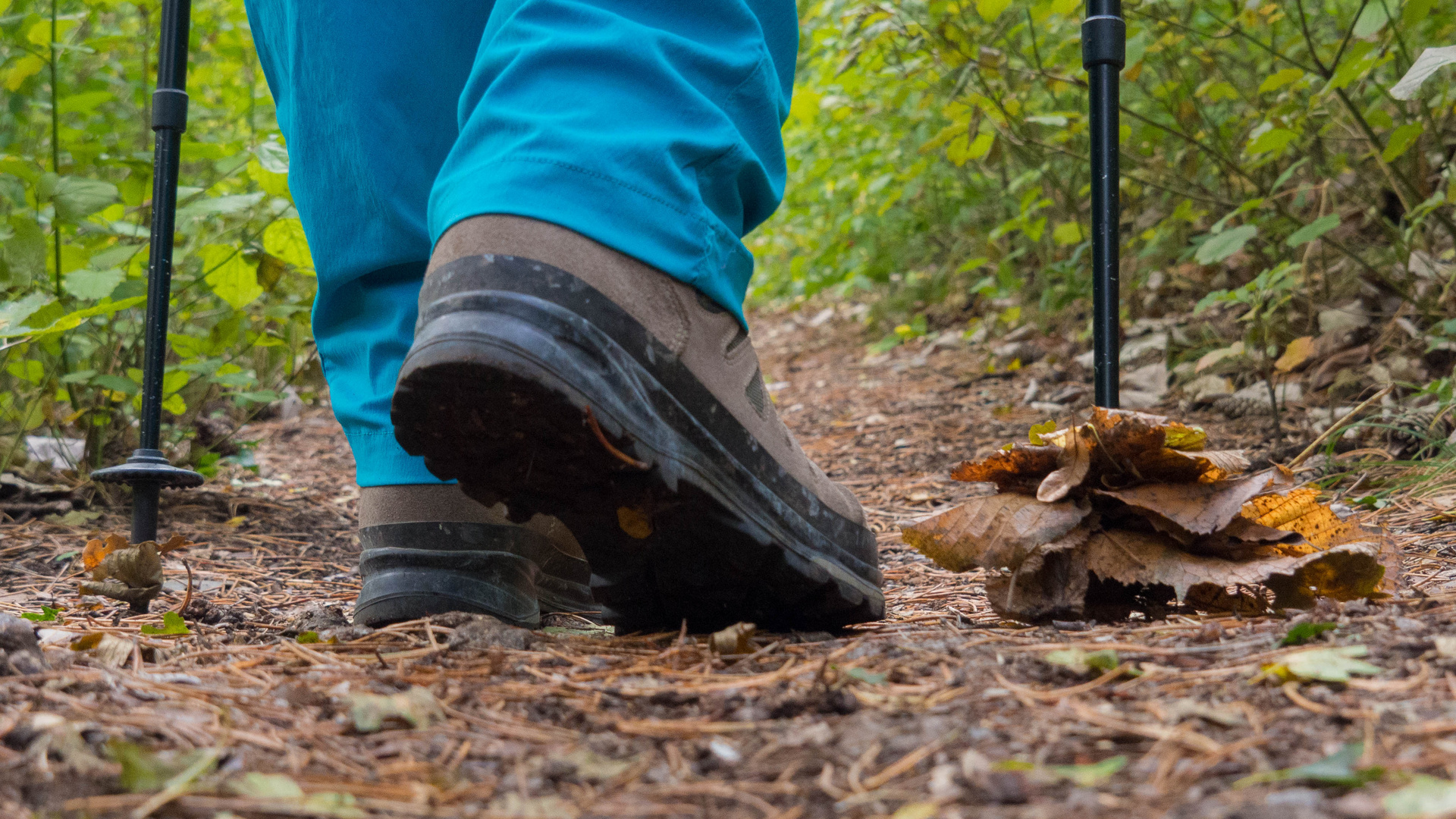 Herbstzeit = Wanderzeit