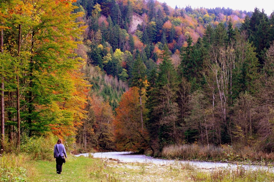 Herbstzeit - Wanderzeit