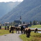 herbstzeit - wanderzeit