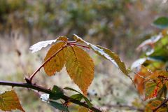 Herbstzeit- Zeit der Besinnlichkeit 