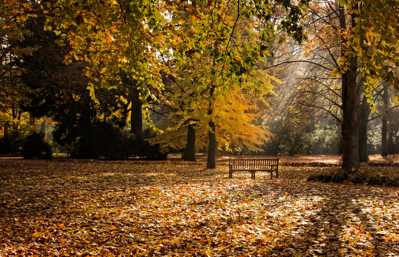 Herbstzeit - Zeit der Farben 