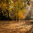 Herbstzeit - Zeit der Farben 