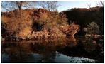 Herbstzeit.....2 von Charly Van Onckelen 