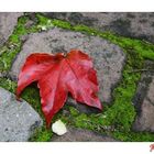 Herbstzeiten 02