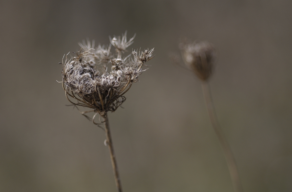 herbst.zeitlos