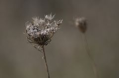 herbst.zeitlos