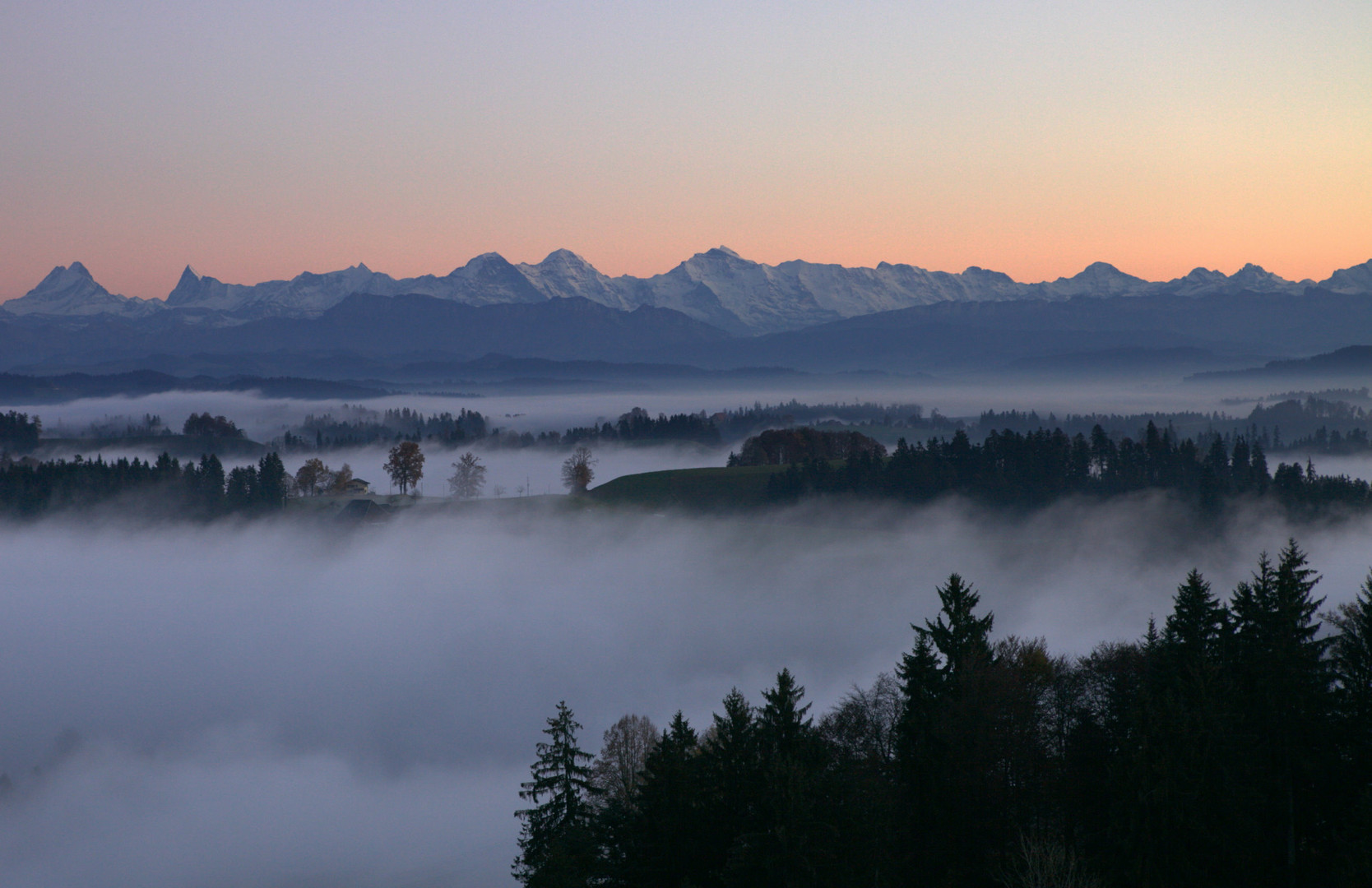 herbstzeitlos.....