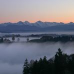 herbstzeitlos.....