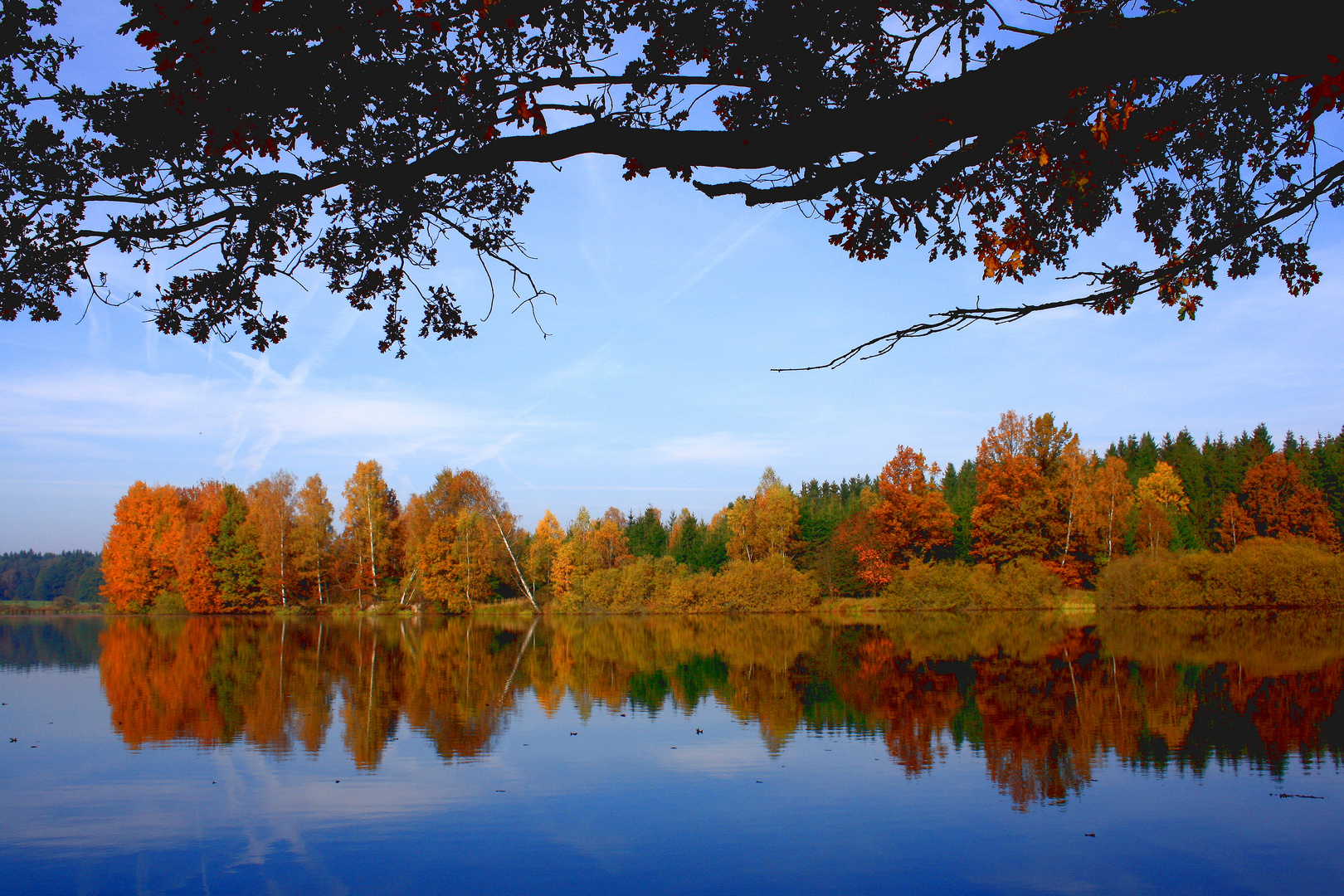 Herbstzeitlos