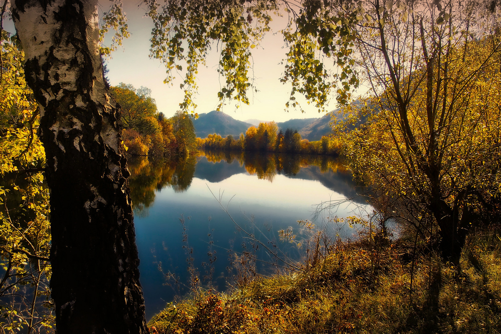 Herbstzeitlose Murauen