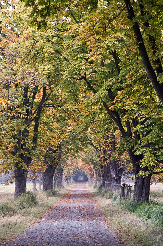 Herbstzeitstimmung