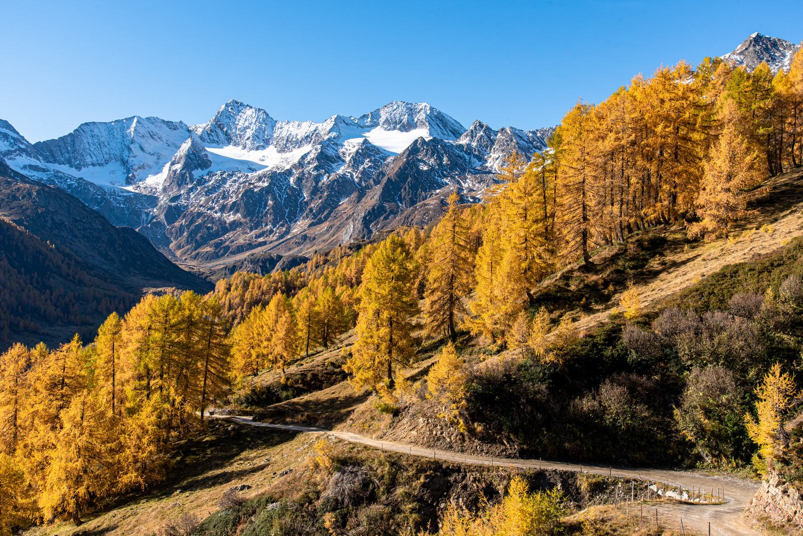 Herbswald und Berge