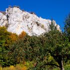 Herbszeit an der Donau