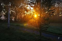 Herbtlicher Sonnenaufgang im Lipperland