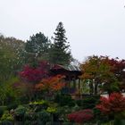 Herbtsfarben im Stadtpark