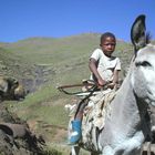 Herdboy in Lesotho