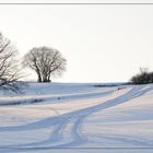 Herdringen Feld im Winter 2009/10