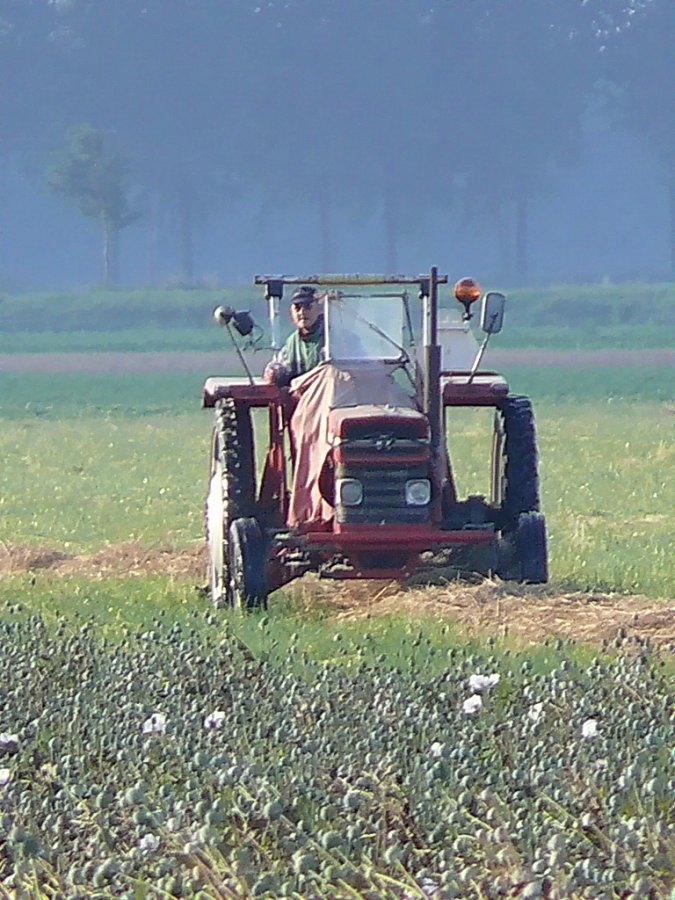 here comes the farmer (on his way to work)